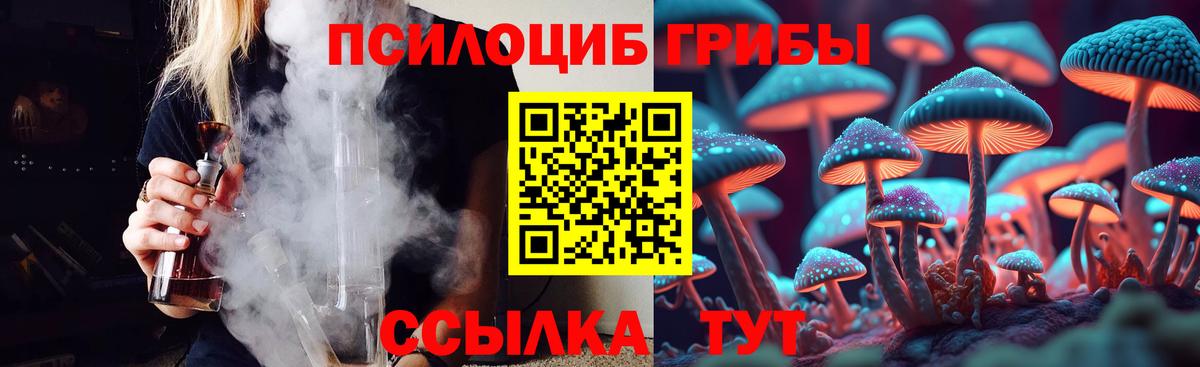 Псилоцибиновые грибы Psilocybe Фролово