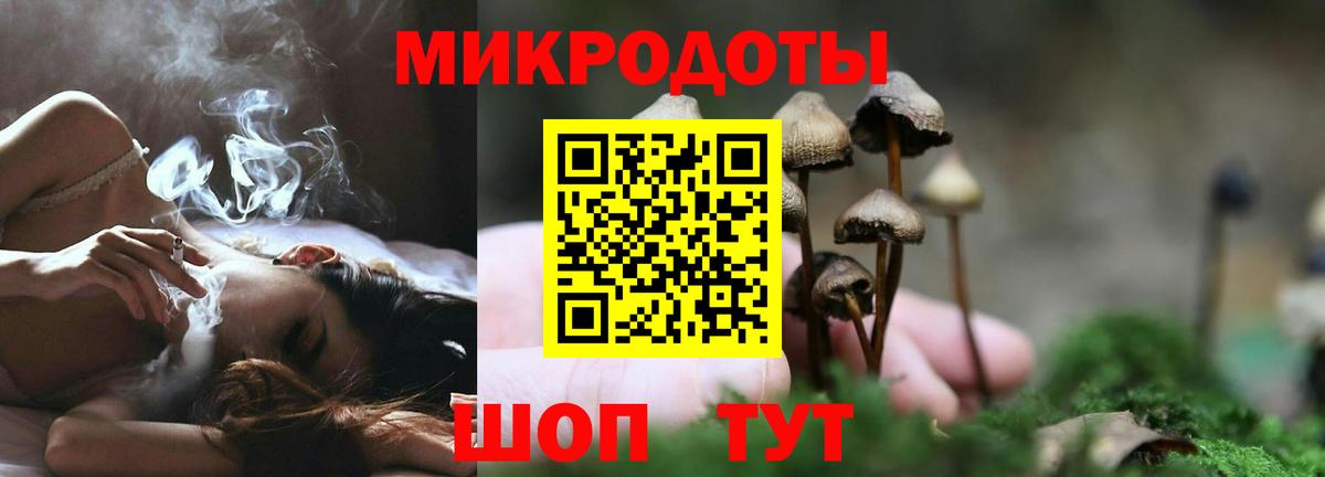 Фролово  Псилоцибиновые грибы Psilocybine cubensis  магазин    Псилоцибиновые грибы MAGIC MUSHROOMS  Вход с VPN 